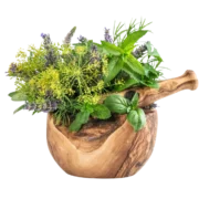 herbs